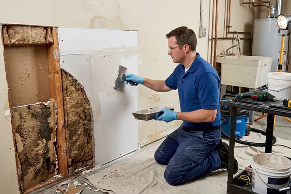 Mold and Drywall Repair Payson