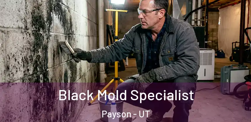  Black Mold Specialist Payson - UT
