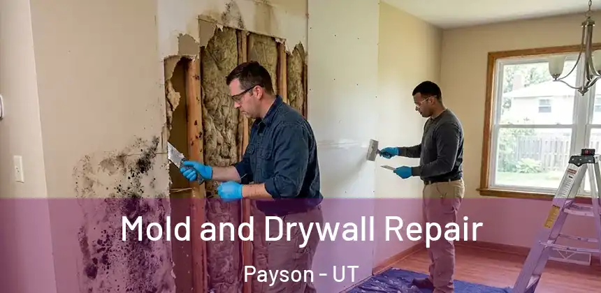 Mold and Drywall Repair Payson - UT