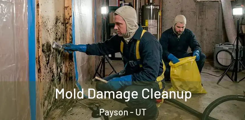 Mold Damage Cleanup Payson - UT