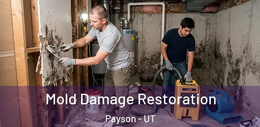 Mold Damage Restoration Payson - UT