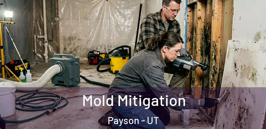  Mold Mitigation Payson - UT