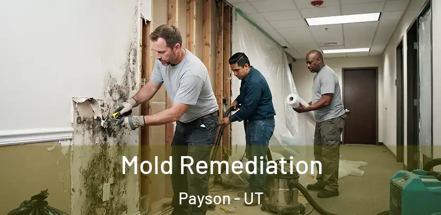 Mold Remediation Payson - UT