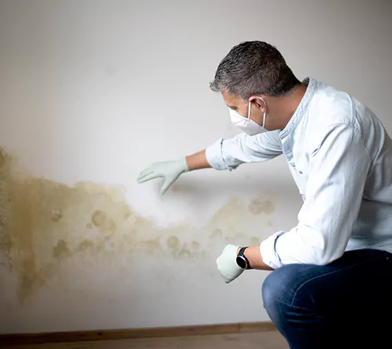 Mold Removal Service in Payson, UT