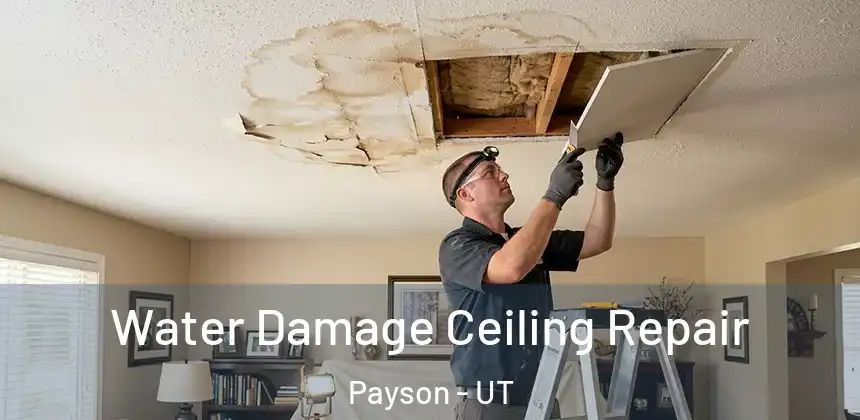 Water Damage Ceiling Repair Payson - UT