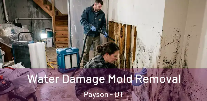 Water Damage Mold Removal Payson - UT