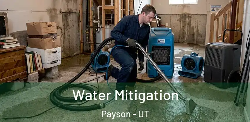 Water Mitigation Payson - UT
