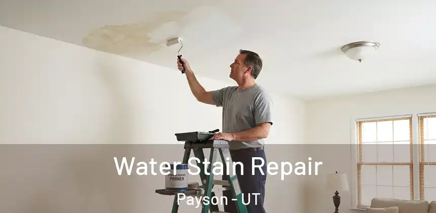  Water Stain Repair Payson - UT